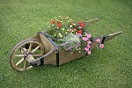 Auf einer kurz gemähten Wiese steht eine uralte hölzerne Schubkarre mit einer bunten Blumenbepflanzung. Die Karre in Kastenform hat lange Holzgriffe und ein großes Holzspeichenrad mit Metallreifen.